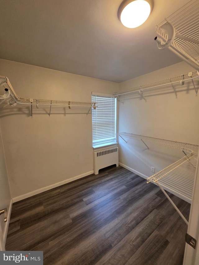 616 Sylvan Pl, Harrisburg, PA 17109 - spacious closet featuring radiator and dark wood finished floors