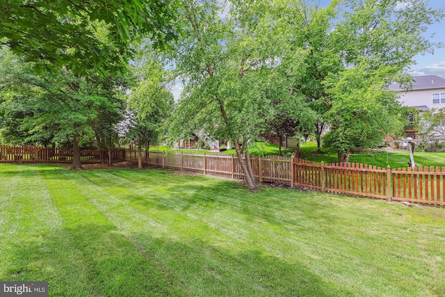 831 Macalister Dr SE, Leesburg, VA 20175 - view of yard