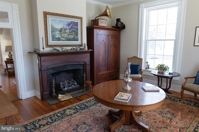 322 Main St E, Fincastle, VA 24090 - living area featuring wood finished floors, ornamental molding, healthy amount of natural light, baseboards, and a fireplace