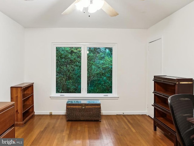 6662 Van Winkle Dr, Falls Church, VA 22044 - office space with hardwood / wood-style floors and a ceiling fan