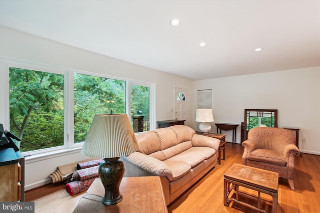 6662 Van Winkle Dr, Falls Church, VA 22044 - living area featuring light wood-style flooring and recessed lighting