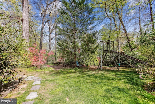 6662 Van Winkle Dr, Falls Church, VA 22044 - view of grassy yard