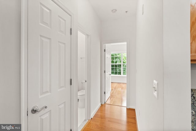 13800 Breezy Ridge Way Unit 101, Woodbridge, VA 22191 - corridor with light wood-style flooring and baseboards