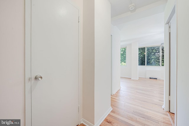 4000 Tunlaw Rd NW Unit 602, Washington, DC 20007 - hallway featuring light wood-style flooring and baseboards