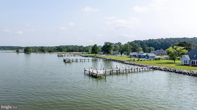 1702 Ferry Point Ct, Trappe, MD 21673 - water view with a dock