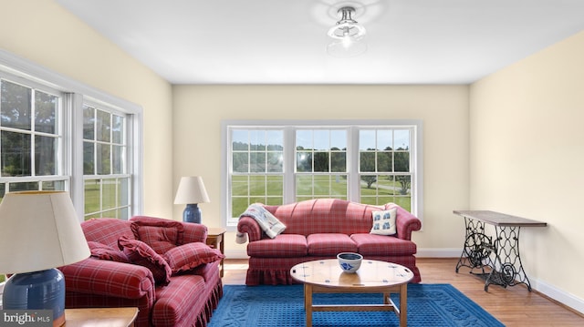 1702 Ferry Point Ct, Trappe, MD 21673 - living room with wood finished floors and baseboards