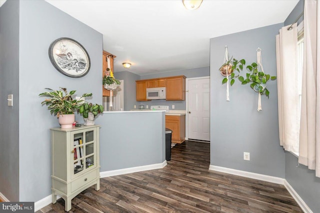 186 Brush Dr, Martinsburg, WV 25405 - kitchen with white microwave, dark wood finished floors, light countertops, and baseboards
