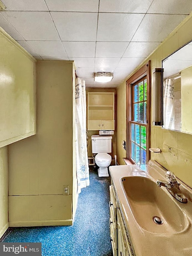 873 Maple St, Lanse, PA 16849 - full bathroom with toilet and vanity