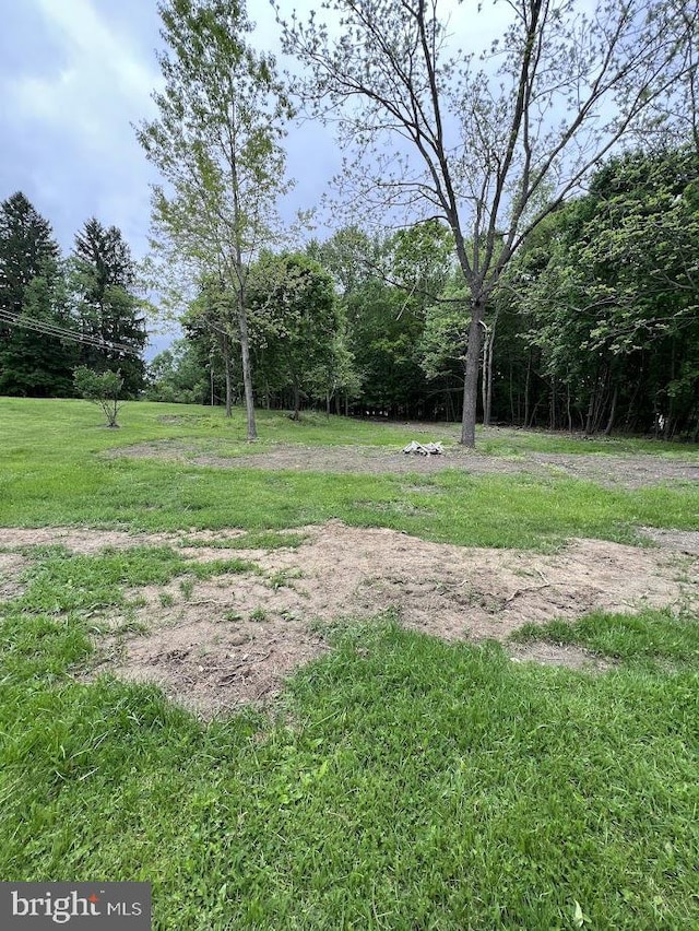 873 Maple St, Lanse, PA 16849 - view of green lawn