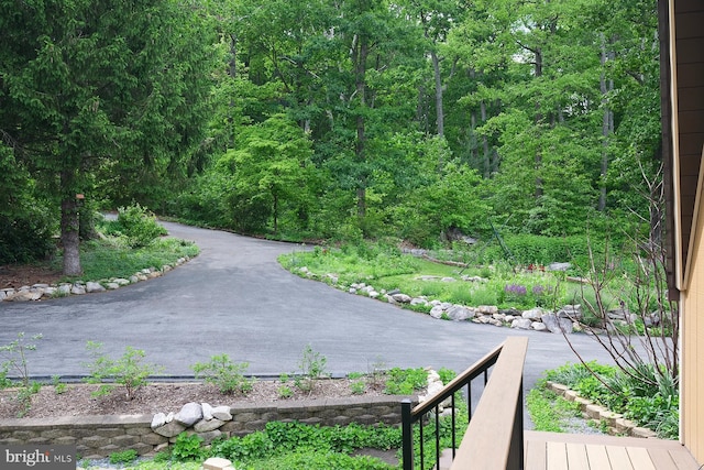 4027 Trego Mountain Rd, Keedysville, MD 21756 - view of property's community with a view of trees