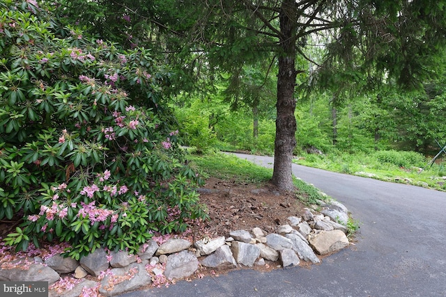4027 Trego Mountain Rd, Keedysville, MD 21756 - view of asphalt street
