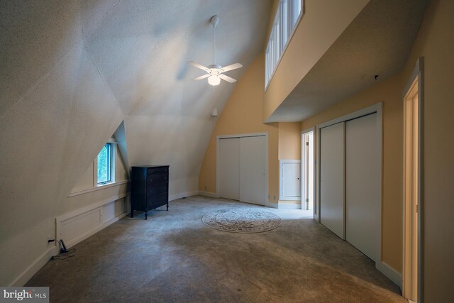 4027 Trego Mountain Rd, Keedysville, MD 21756 - bonus room featuring carpet flooring, a ceiling fan, lofted ceiling, and baseboards