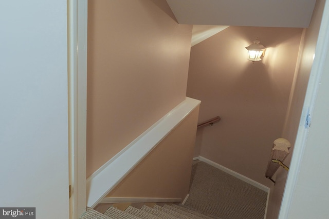 4027 Trego Mountain Rd, Keedysville, MD 21756 - stairway featuring baseboards