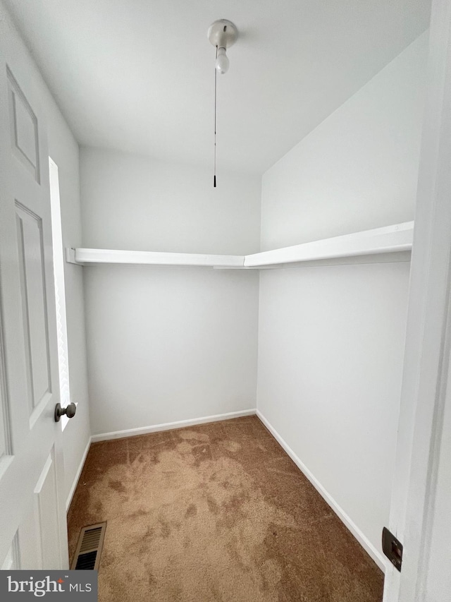 walk in closet with carpet floors