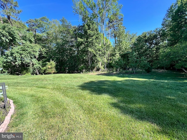 view of grassy yard