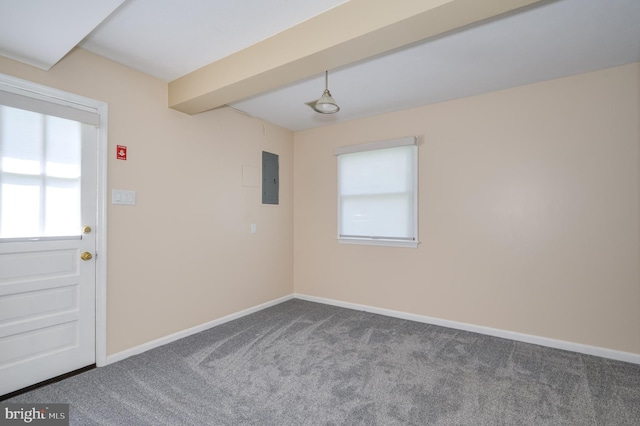 1104 Milroy Ct, Winchester, VA 22601 - carpeted spare room with baseboards and electric panel