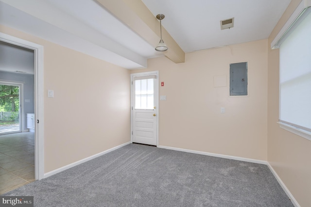 1104 Milroy Ct, Winchester, VA 22601 - empty room featuring electric panel, carpet, and healthy amount of natural light