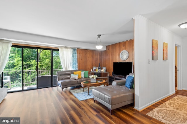 6034 Westchester Park Dr Unit 202, College Park, MD 20740 - living room featuring plenty of natural light, ornamental molding, wood walls, wood finished floors, and baseboards