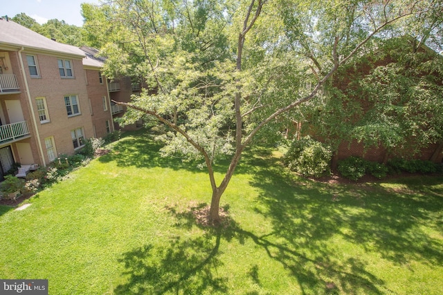 6034 Westchester Park Dr Unit 202, College Park, MD 20740 - view of green lawn