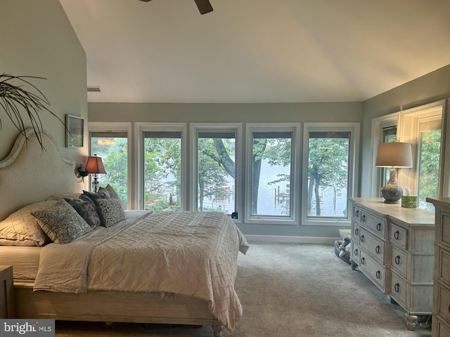 569 Highbank Rd, Severna Park, MD 21146 - bedroom featuring carpet flooring, lofted ceiling, and baseboards