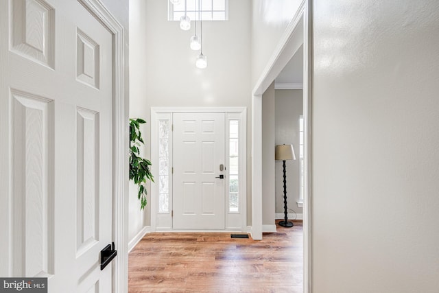 857 Barcelona St, Townsend, DE 19734 - foyer entrance with light wood-style floors, a towering ceiling, plenty of natural light, and baseboards
