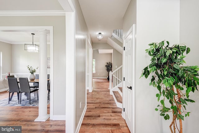 857 Barcelona St, Townsend, DE 19734 - hallway with wood finished floors, baseboards, and crown molding