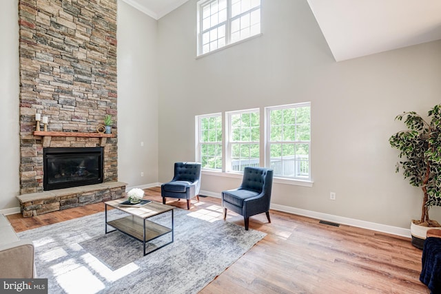 857 Barcelona St, Townsend, DE 19734 - living area featuring healthy amount of natural light, baseboards, wood finished floors, a high ceiling, and a stone fireplace