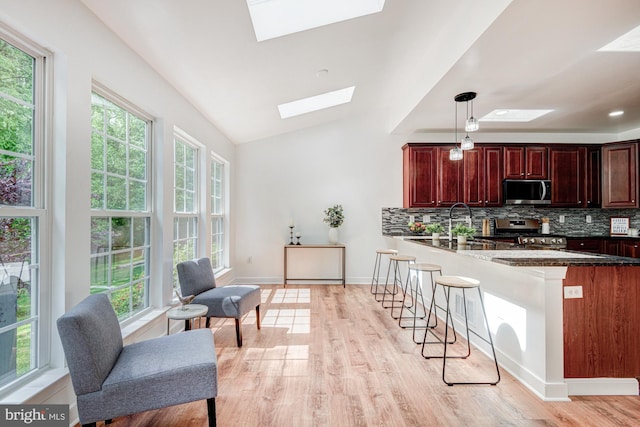857 Barcelona St, Townsend, DE 19734 - kitchen featuring a skylight, stainless steel appliances, healthy amount of natural light, a breakfast bar, and lofted ceiling