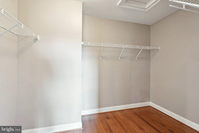 20677 Erskine Ter, Ashburn, VA 20147 - spacious closet featuring wood finished floors and attic access