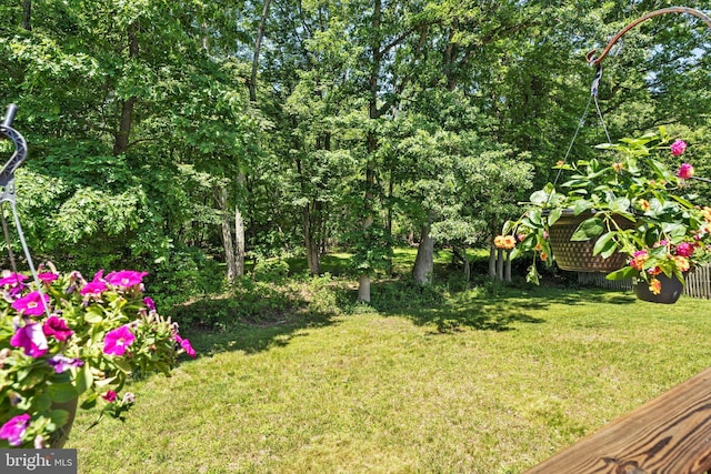8 Crestwood Dr, Hamilton, NJ 08690 - view of green lawn