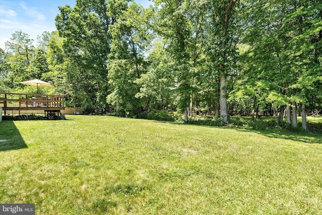 8 Crestwood Dr, Hamilton, NJ 08690 - view of grassy yard