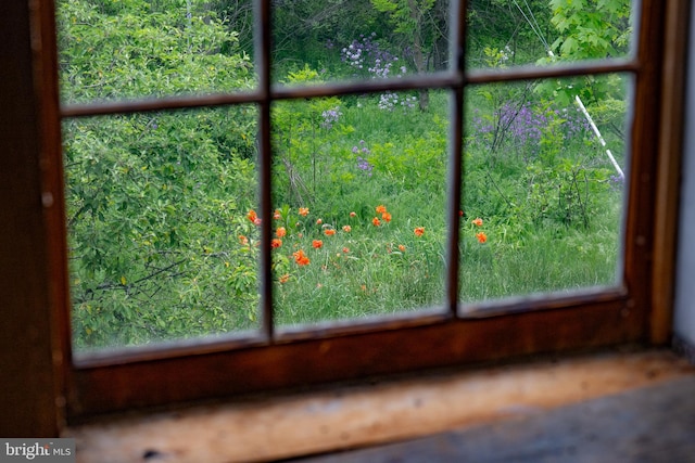 5143 S Middle Rd, Mount Jackson, VA 22842 - detailed view of a heavily wooded area