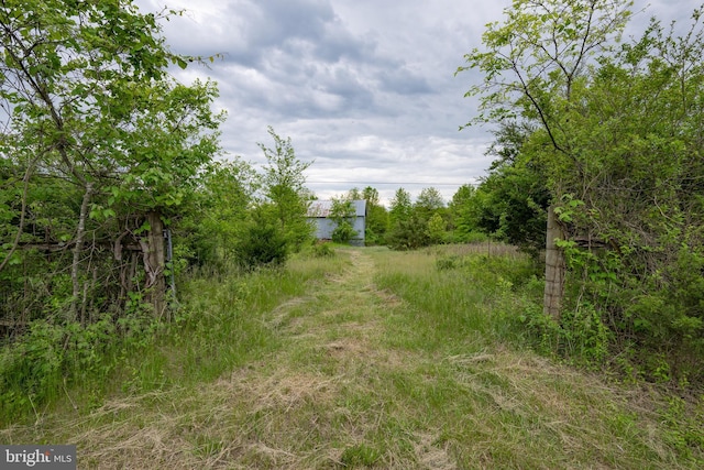 5143 S Middle Rd, Mount Jackson, VA 22842 - view of local wilderness
