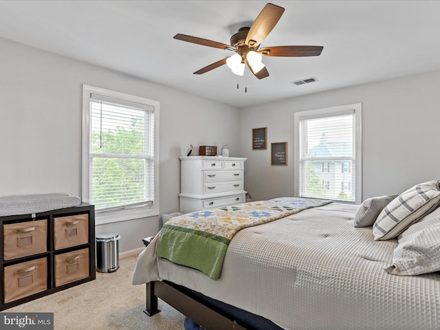 108 Timberlake Ter Unit 7, Stephens City, VA 22655 - bedroom with light carpet, multiple windows, ceiling fan, and baseboards