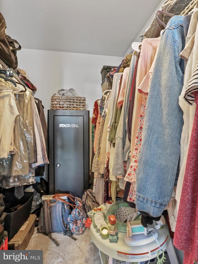 108 Timberlake Ter Unit 7, Stephens City, VA 22655 - spacious closet featuring carpet floors