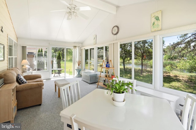 53 Stockport Dr, Toms River, NJ 08757 - sunroom featuring carpet and healthy amount of natural light