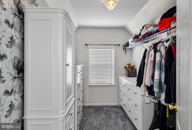 56 Thackery Ct, Sewell, NJ 08080 - spacious closet featuring dark carpet and vaulted ceiling