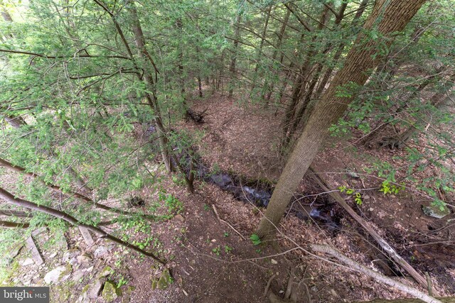 969 Hoyes Run Rd, Oakland, MD 21550 - view of local wilderness