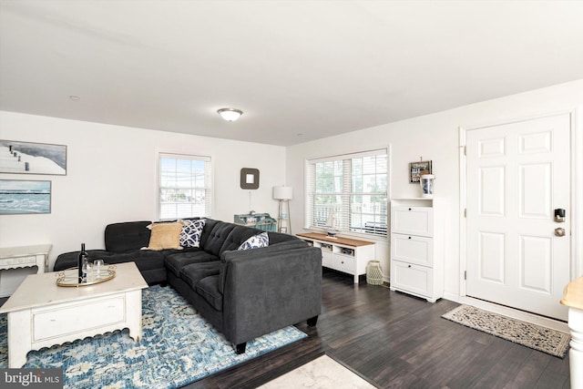 2033 Rte 35 N Unit B- N, Seaside Heights, NJ 08751 - living room featuring healthy amount of natural light and dark wood-style floors
