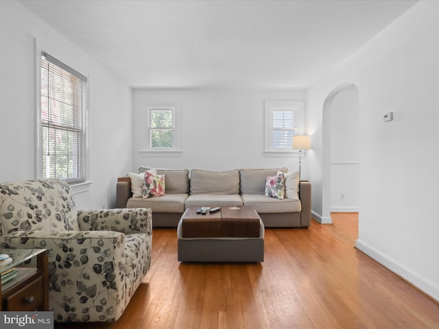 3912 13th St S, Arlington, VA 22204 - living room with arched walkways, light wood-style floors, and baseboards