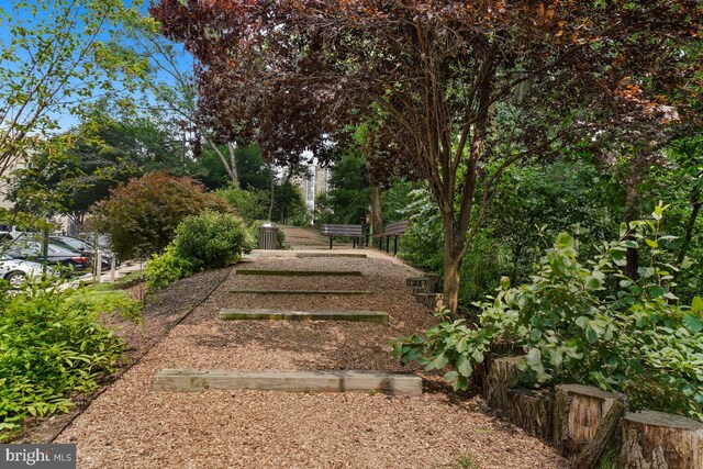 5904 Mount Eagle Dr Unit 1105, Alexandria, VA 22303 - view of yard