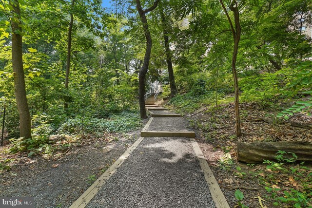 5904 Mount Eagle Dr Unit 1105, Alexandria, VA 22303 - view of yard