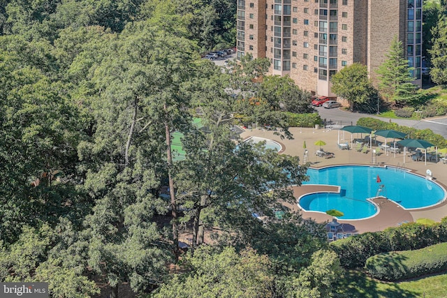 5904 Mount Eagle Dr Unit 1105, Alexandria, VA 22303 - aerial view of property's location with a pool
