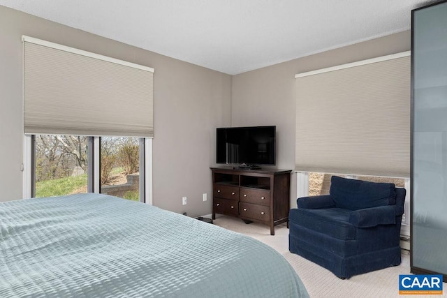 2070 Stone Rdg, Condos, Wintergreen, VA 22967 - carpeted bedroom with access to exterior
