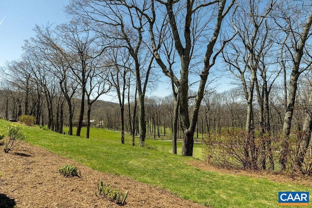 2070 Stone Rdg, Condos, Wintergreen, VA 22967 - view of grassy yard featuring a wooded view