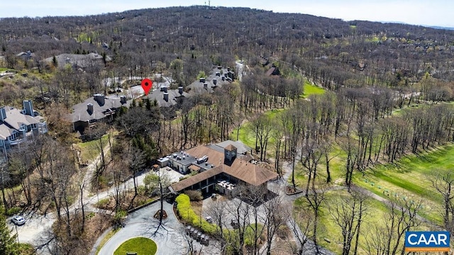 2070 Stone Rdg, Condos, Wintergreen, VA 22967 - aerial view of property's location with a heavily wooded area