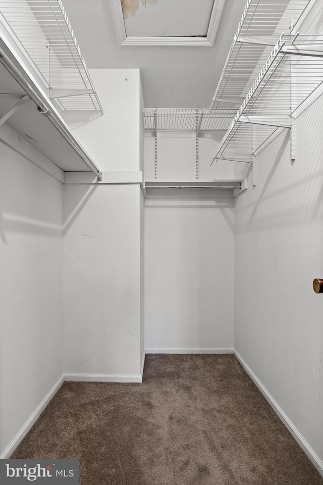2428 Pliner Ct, Atco, NJ 08004 - spacious closet featuring carpet flooring