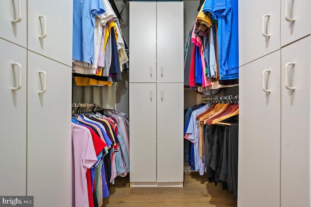 5904 Mount Eagle Dr Unit 1003, Alexandria, VA 22303 - walk in closet featuring wood finished floors