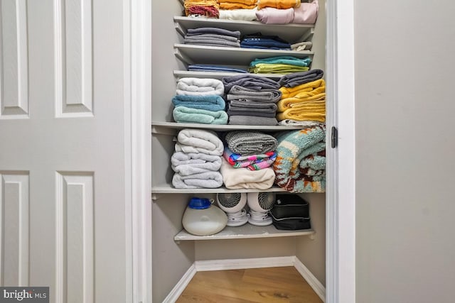 5904 Mount Eagle Dr Unit 1003, Alexandria, VA 22303 - view of closet