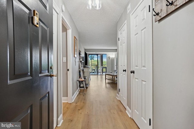 5904 Mount Eagle Dr Unit 1003, Alexandria, VA 22303 - entrance foyer with light wood-type flooring, baseboards, and a textured ceiling